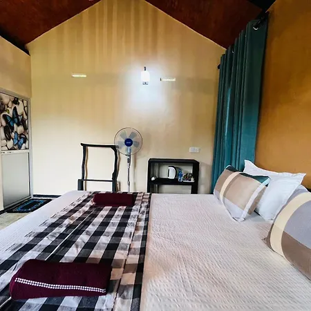 Rainforest Nature House Deniyaya Room photo