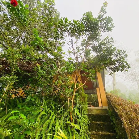 Rainforest Nature House Deniyaya Room photo