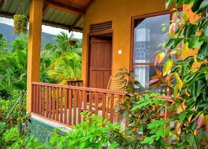 Rainforest Nature House