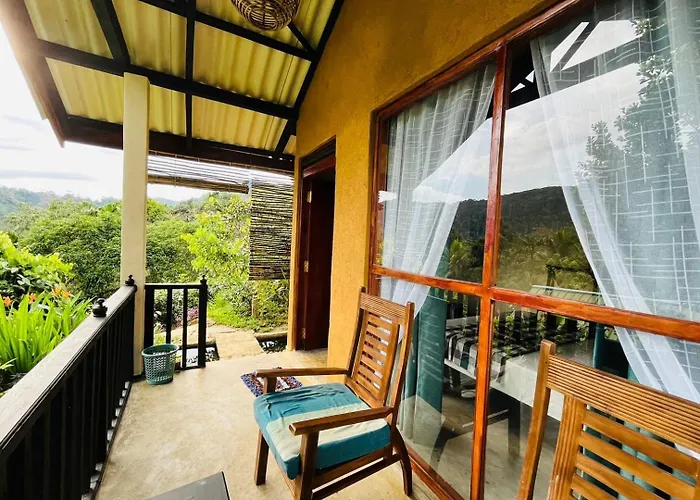 Rainforest Nature House