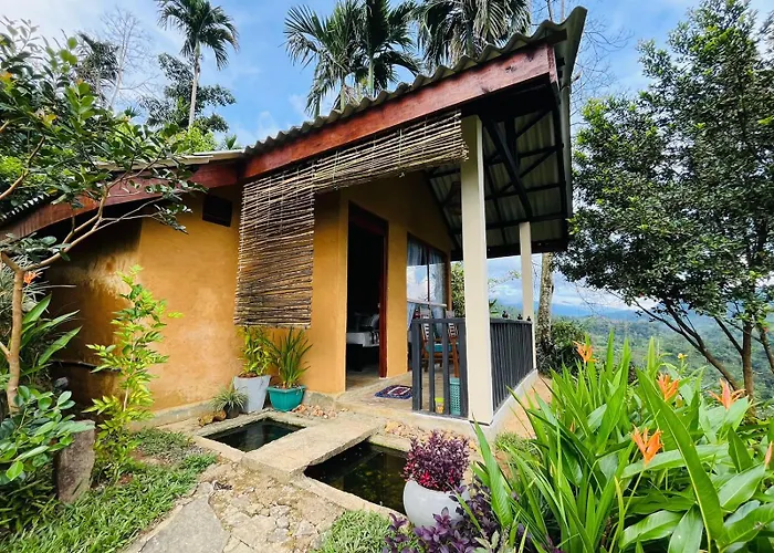 Rainforest Nature House