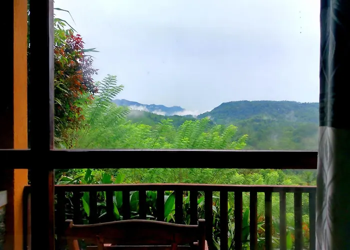 Rainforest Nature House