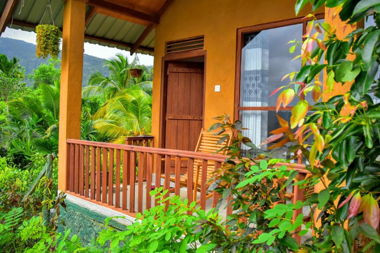 Rainforest Nature House * Deniyaya