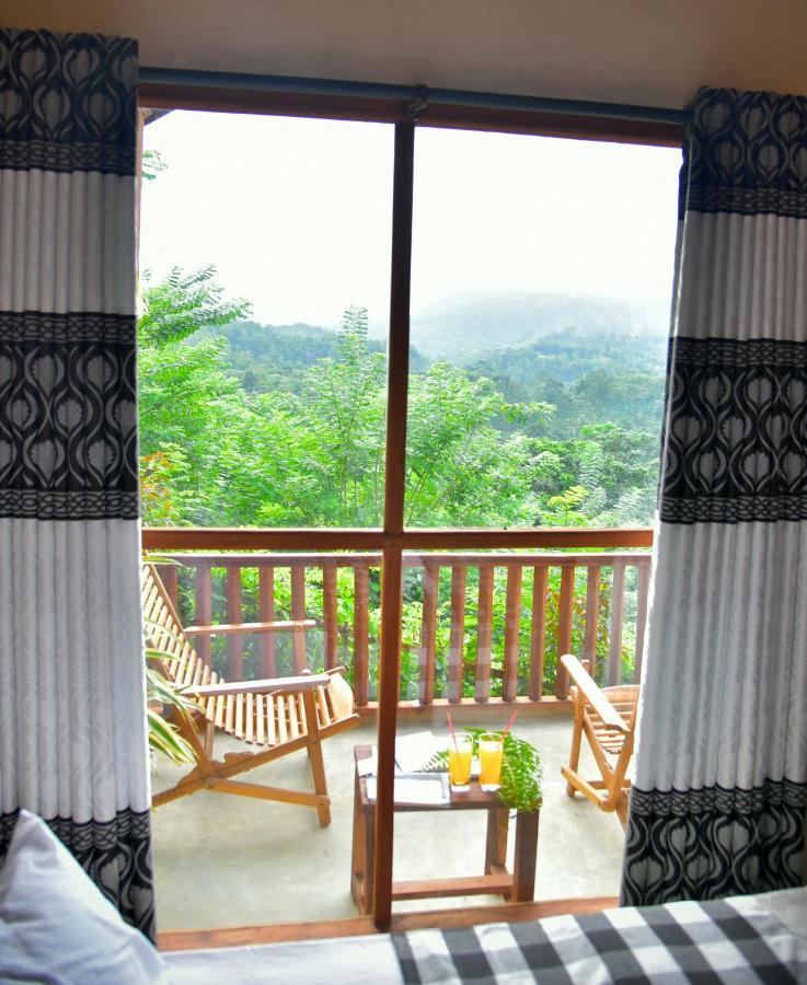 Rainforest Nature House Lodge *