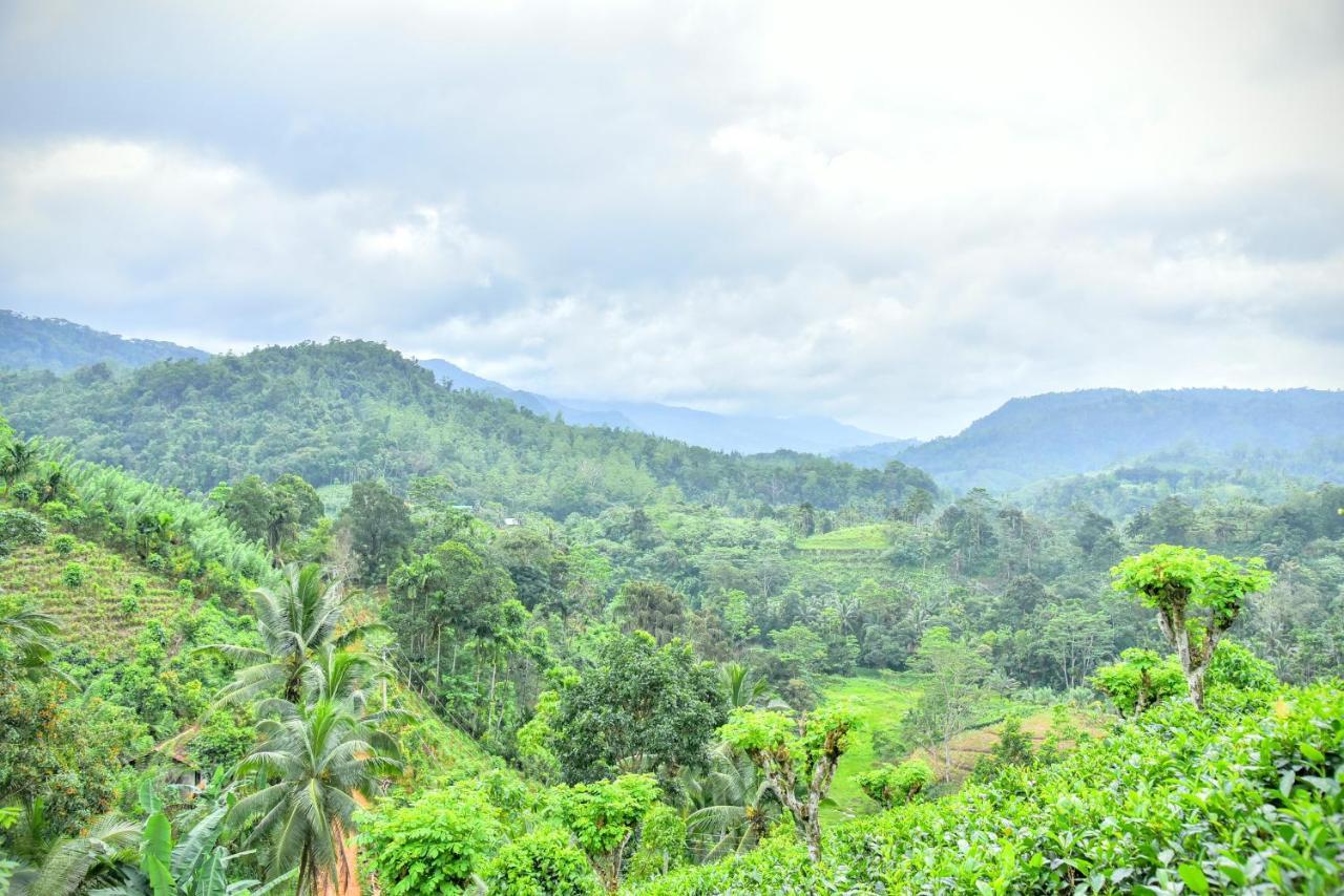 Rainforest Nature House Lodge Deniyaya