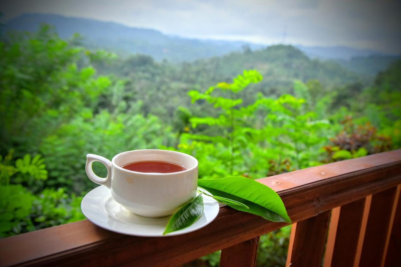 Rainforest Nature House دينيايا
