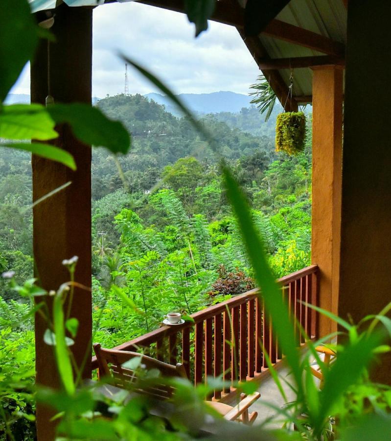 Rainforest Nature House Lodge *