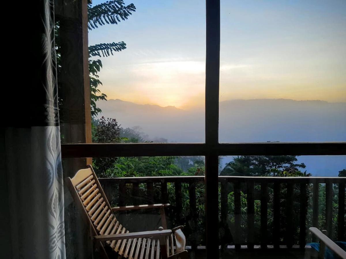 Lodge Rainforest Nature House Deniyaya