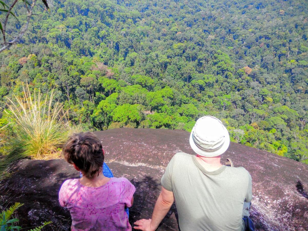 Rainforest Nature House Lodge