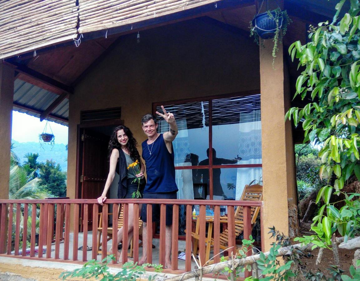 Rainforest Nature House Lodge *