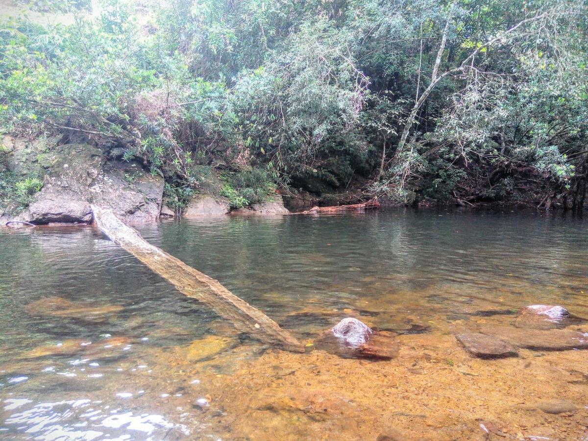 Rainforest Nature House Lodge *