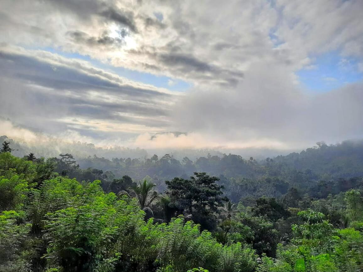 Rainforest Nature House بيت خشبي