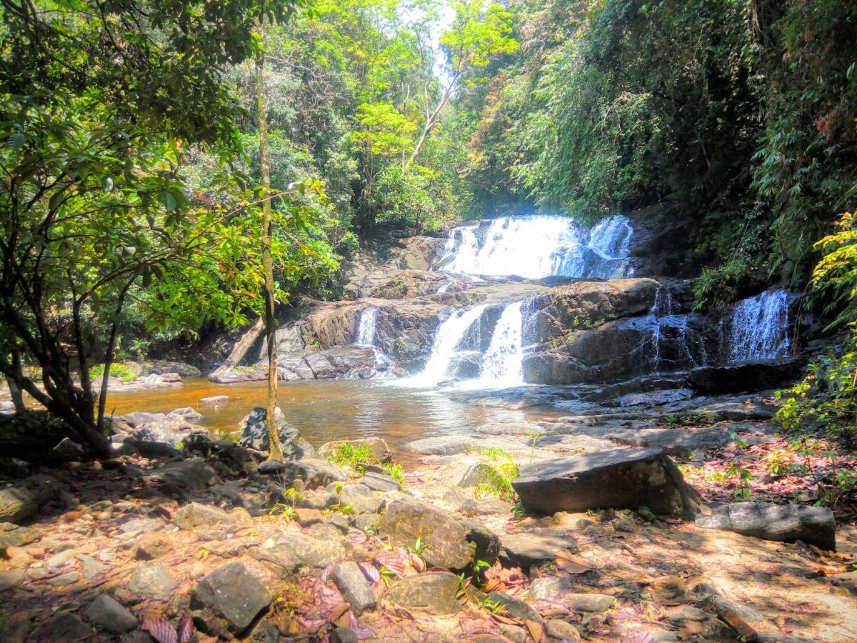 Rainforest Nature House * Deniyaya