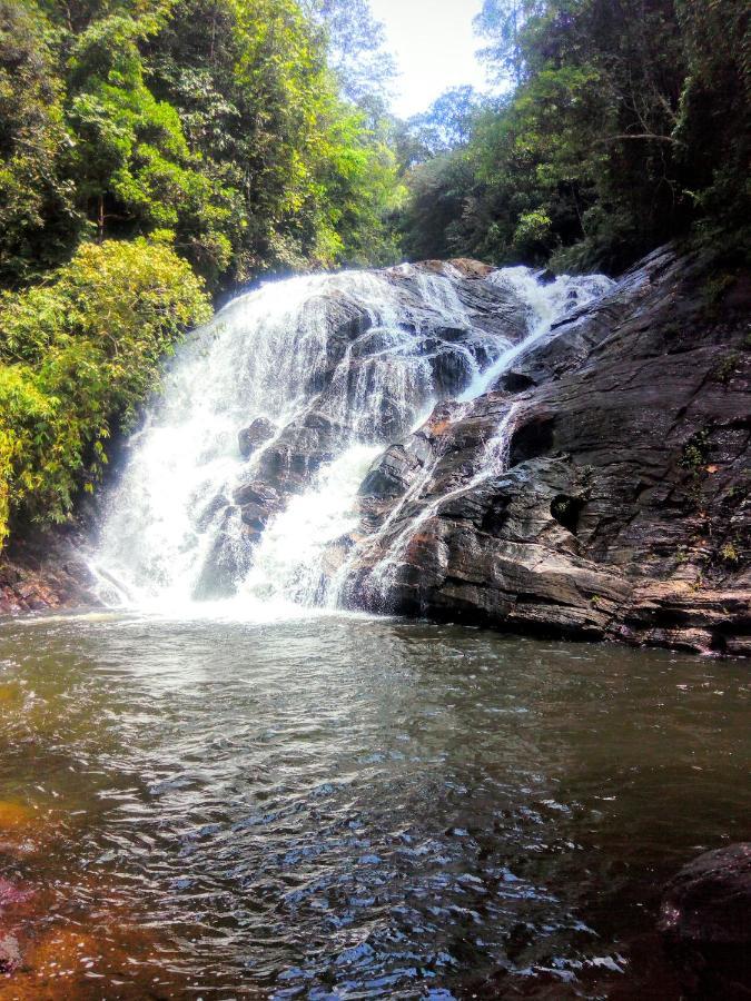 Rainforest Nature House بيت خشبي دينيايا