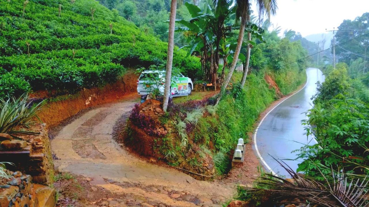 Rainforest Nature House