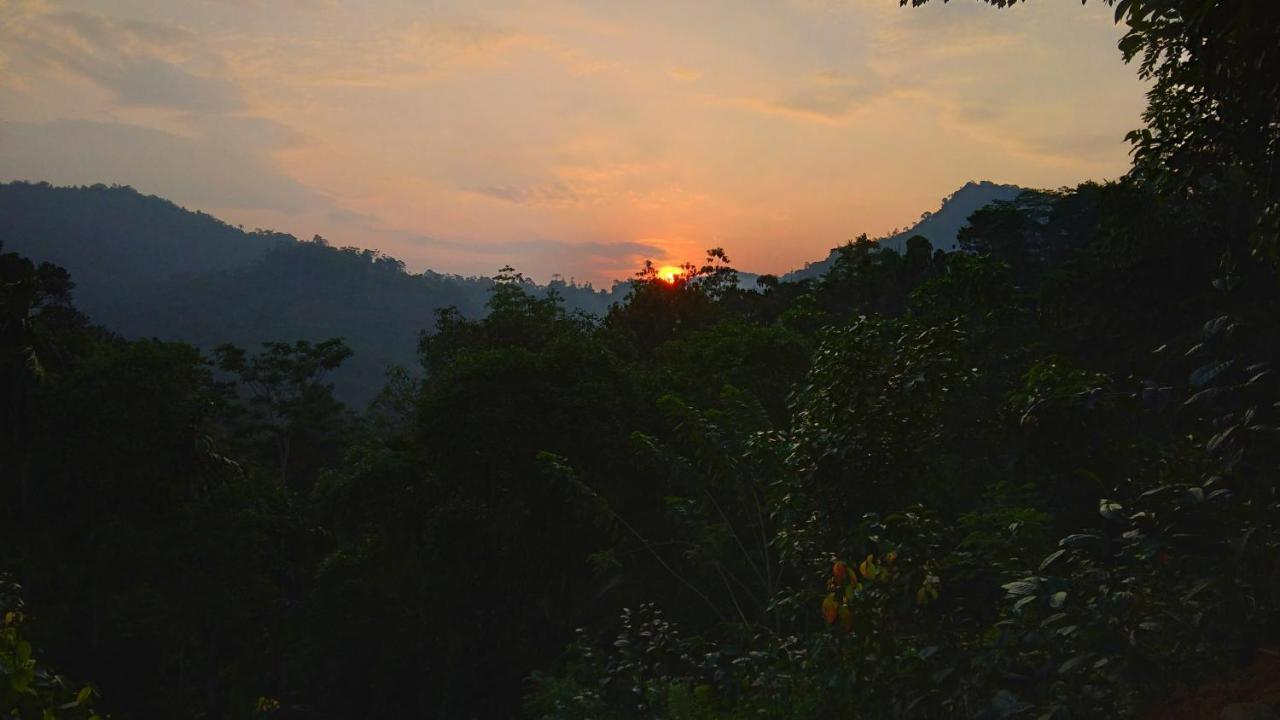 Rainforest Nature House Lodge Deniyaya