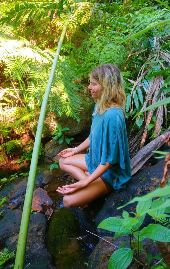 Rainforest Nature House دينيايا