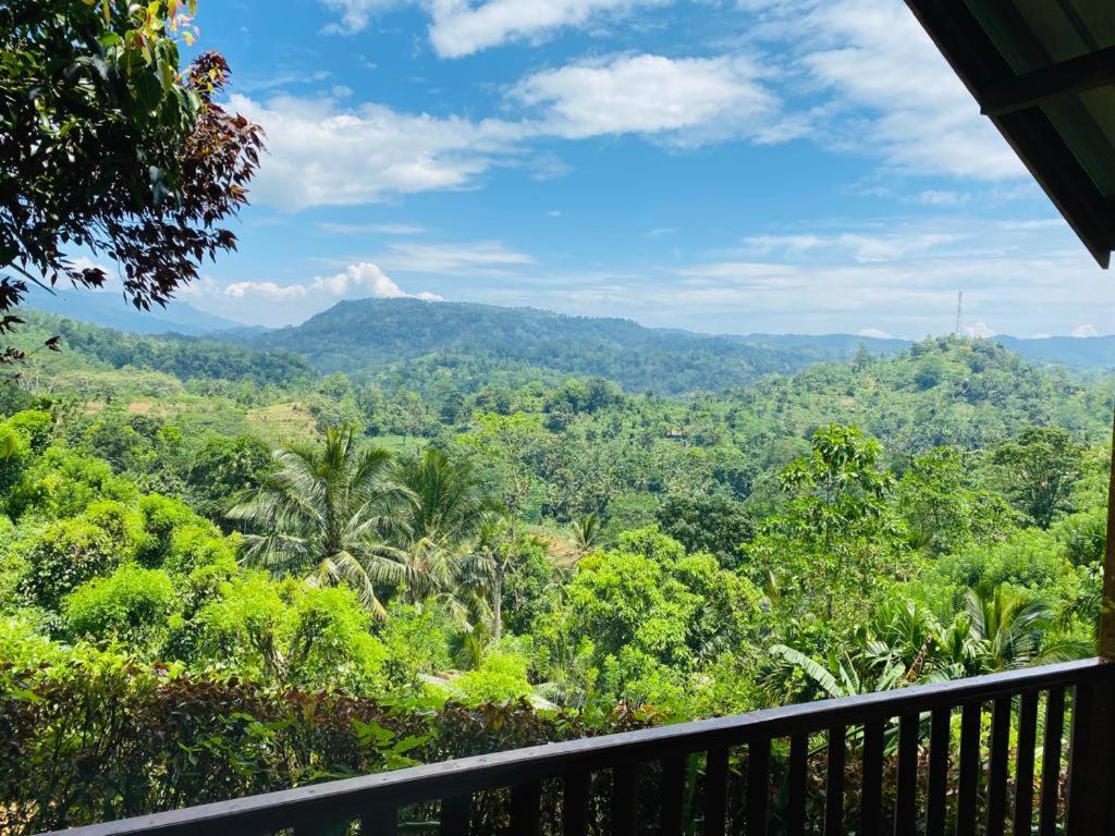 Rainforest Nature House بيت خشبي