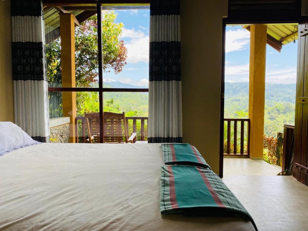 Lodge Rainforest Nature House *