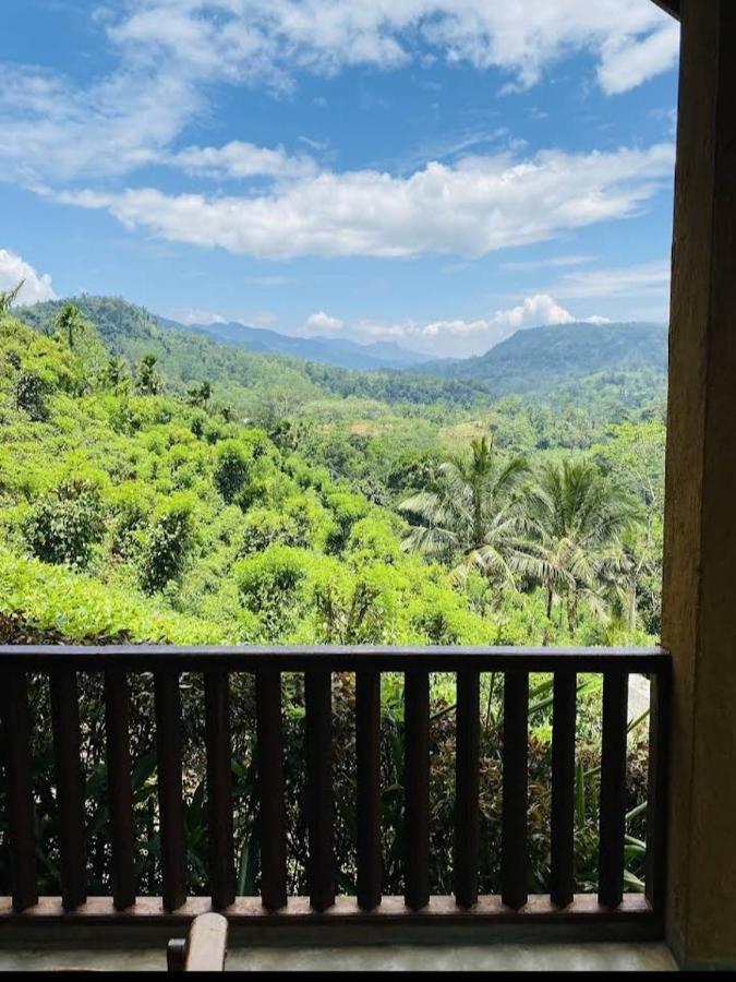 Lodge Rainforest Nature House *