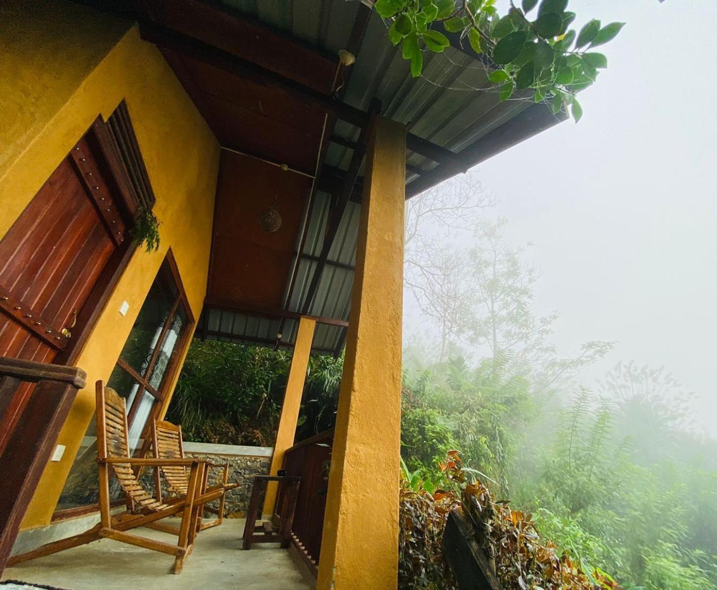 Rainforest Nature House *