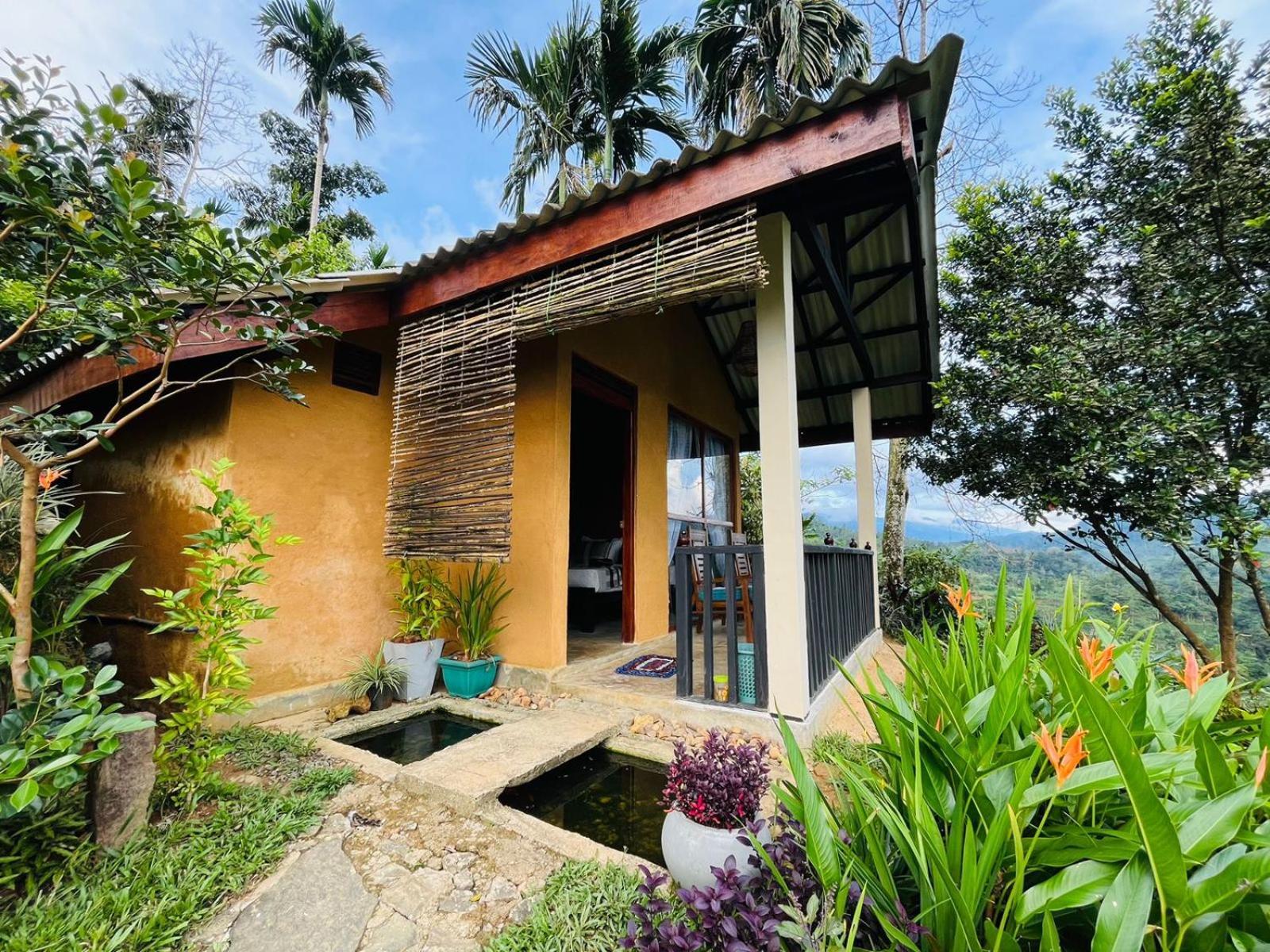 Rainforest Nature House Lodge