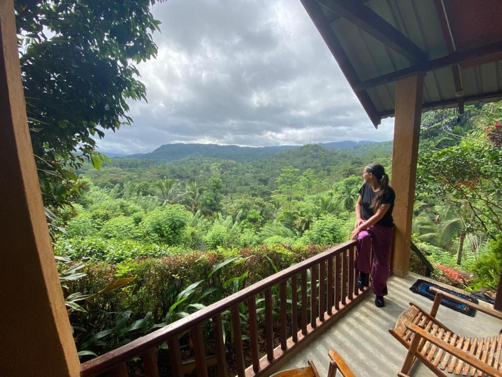 Rainforest Nature House
