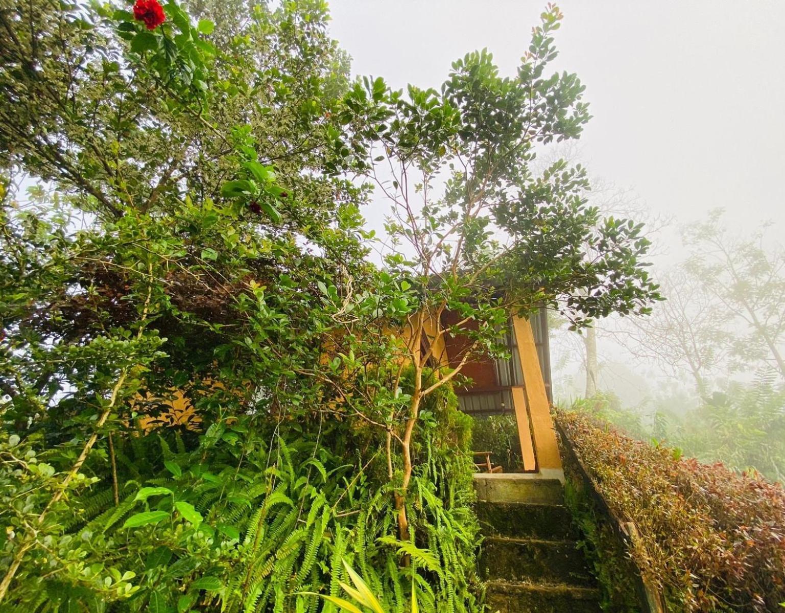 Rainforest Nature House *