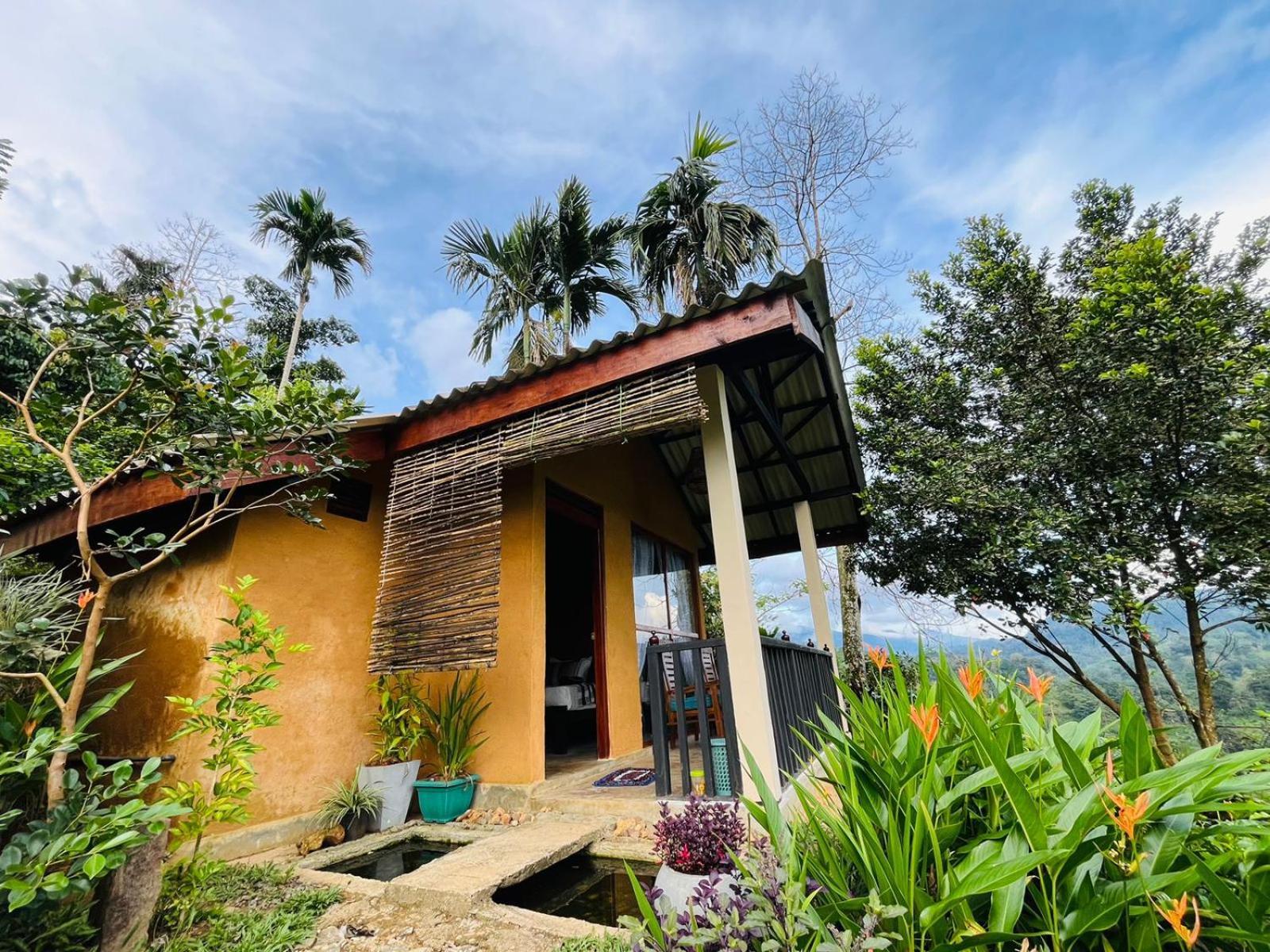 Rainforest Nature House * Deniyaya