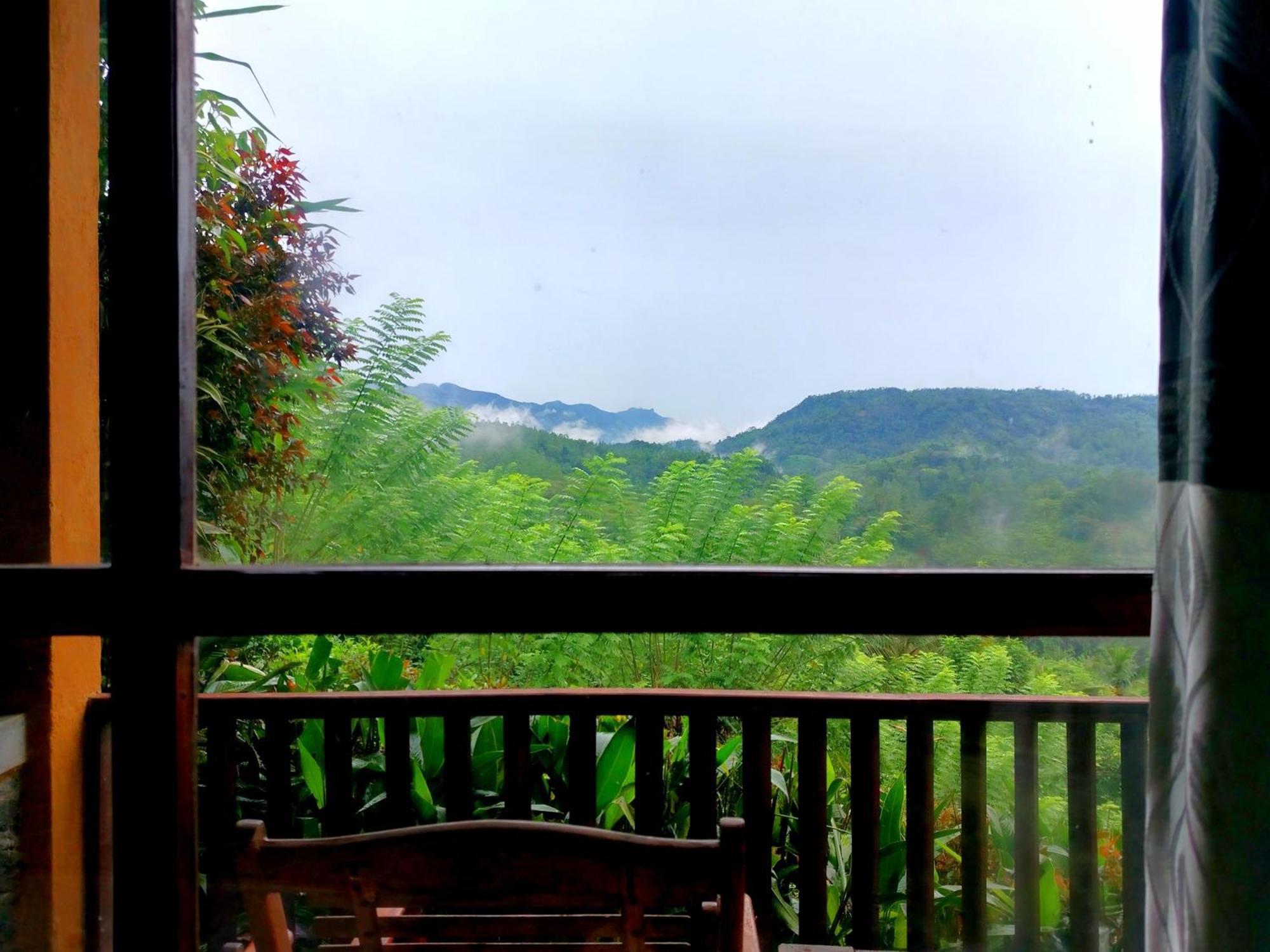 Rainforest Nature House * Deniyaya